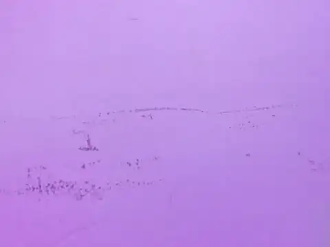 MilaStar777 live XXX chat