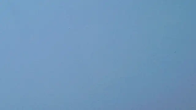 Strip_Adelina 即時 XXX 聊天