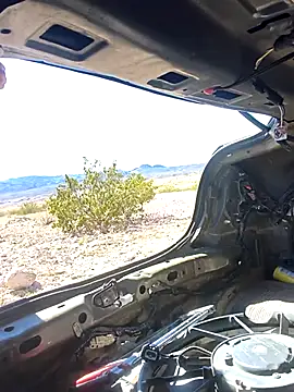 FloppyPickle4un Live XXX chat