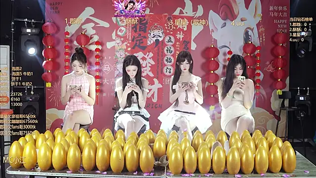 A848-01 网络视讯表演