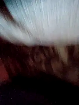 ySqmbVanbe – Naživo XXX chat