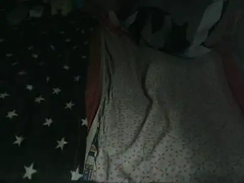 VeneRed Live XXX-Chat