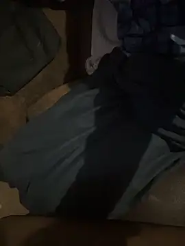 cowboy_420k Show in webcam