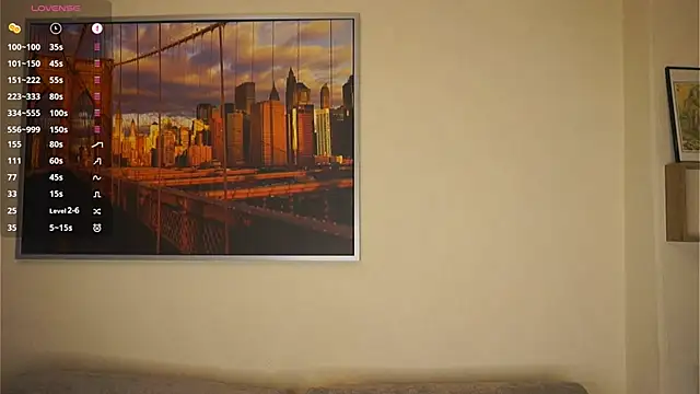 Chat XXX en directo de ToyaPletz