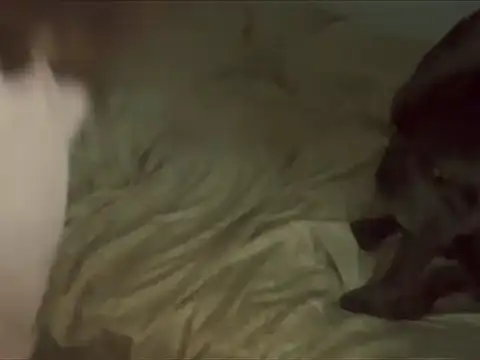 Show webcam de HoustonHOTboy