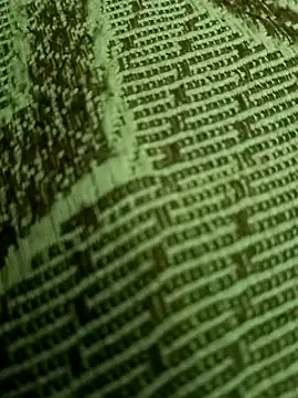 Ranjet01's Webcam Show