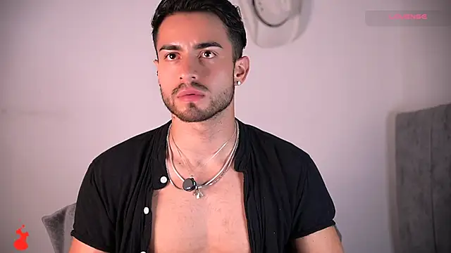 aydan_hw 网络视讯表演