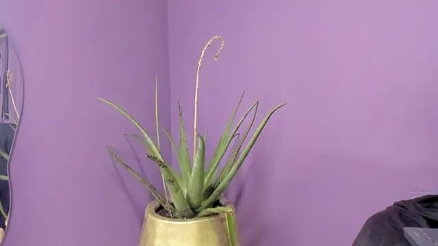 kathe_hot live XXX chat