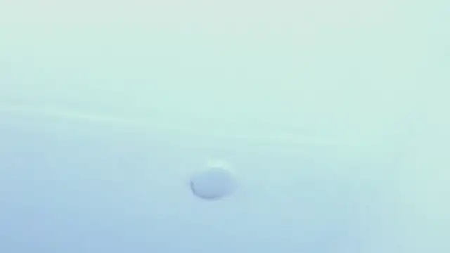 Escanor_Hot Live XXX-Chat