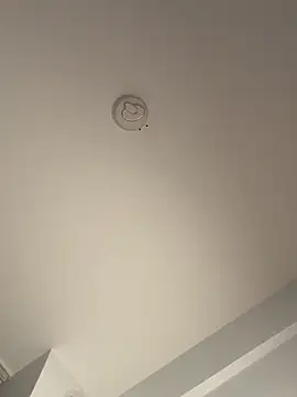 Andrestarr 웹캠 쇼