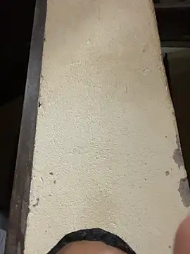 Show de webcam de vebvs