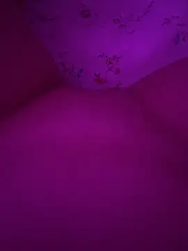 Business_pussy69 Chat XXX in diretta