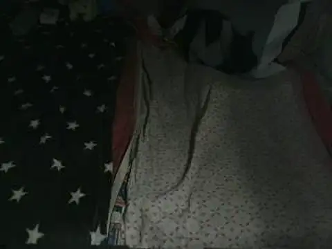 VeneRed Obrolan Langsung XXX