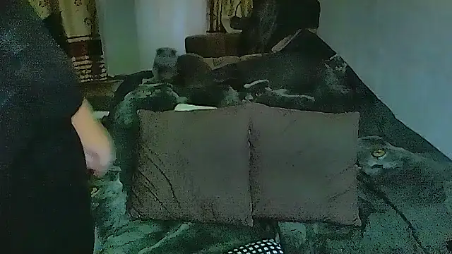 sex2 Pertunjukan Webcam