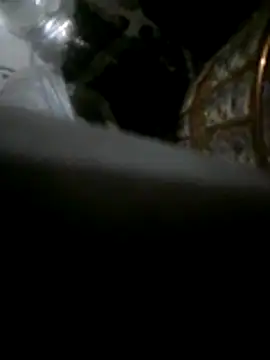 fofass1 Live XXX-Chat