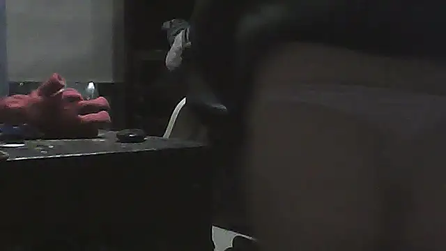 Show webcam de Heterointhong22