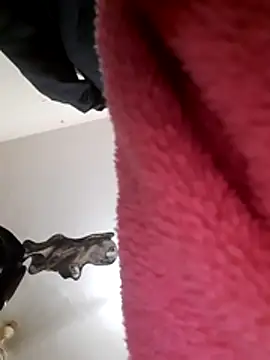 v___r Pertunjukan Webcam