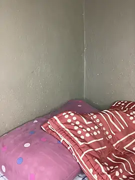 Chat +18 de Bellabootie ao vivo