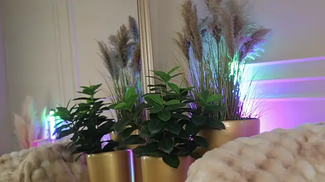 Anais_Bloom Obrolan Langsung XXX