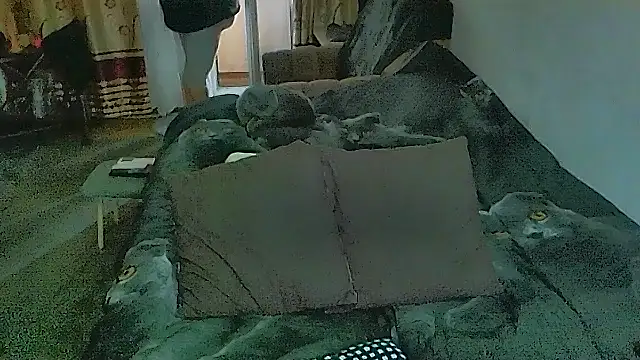 sex2: απευθείας συνομιλία ΧΧΧ