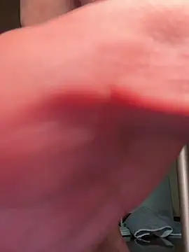 Show de SaneService9 na webcam