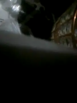 fofass1 Live XXX-chat