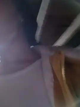 Sinejdk3 即時 XXX 聊天