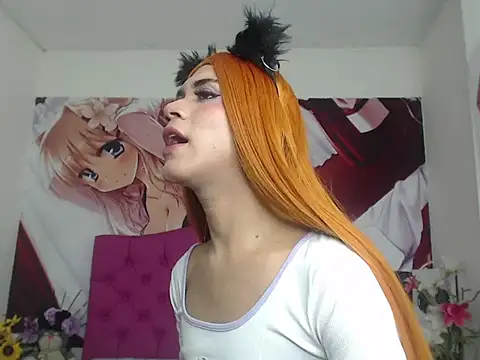 Ailanys_Millern Webbikameraesitys