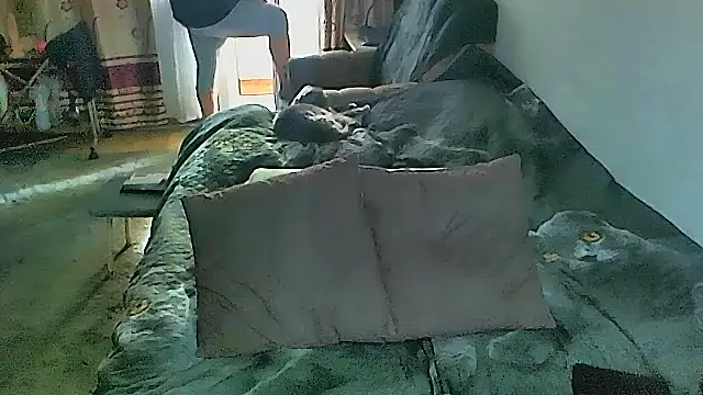 sex2のライブXXXチャット