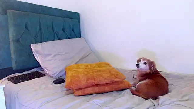 دردشة cedrixx10 الجنسية المباشرة