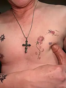 SaneService9's Webcam Show