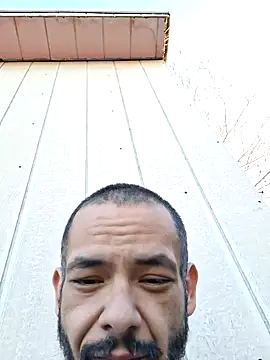 MassedParidae webkamerás műsora