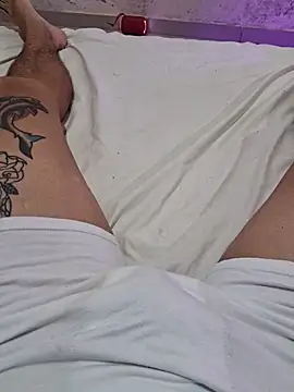 Show de Tacafogonabaga na webcam