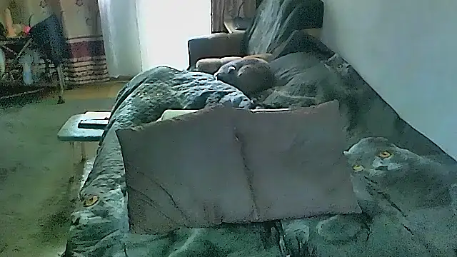 sex2: онлайн-секс-чат