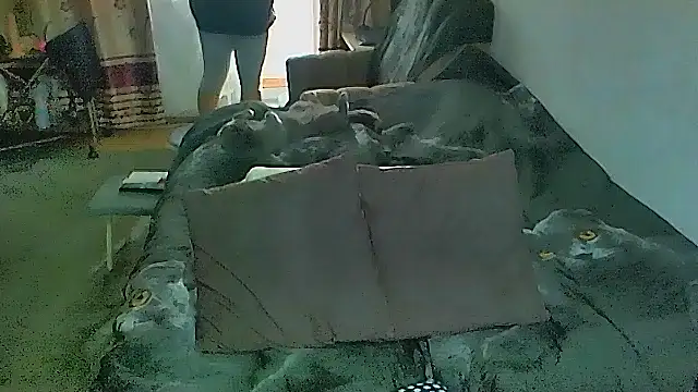 โชว์เว็บแคมของ sex2