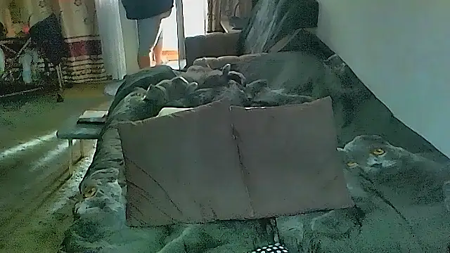 XXX chat uživo modela sex2