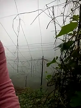 عرض كام quynhkoolbae