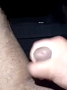 Henry20099n Webbikameraesitys