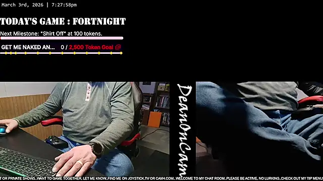 Show webcam de DeanonCam