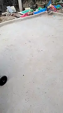 Chat XXX en directo de Anu_tiny