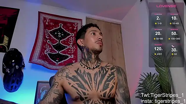 TigerStripes1_ webkamerás műsora