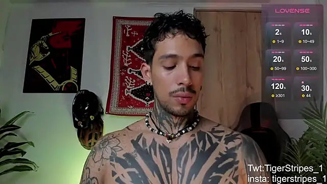 TigerStripes1_ Show in webcam