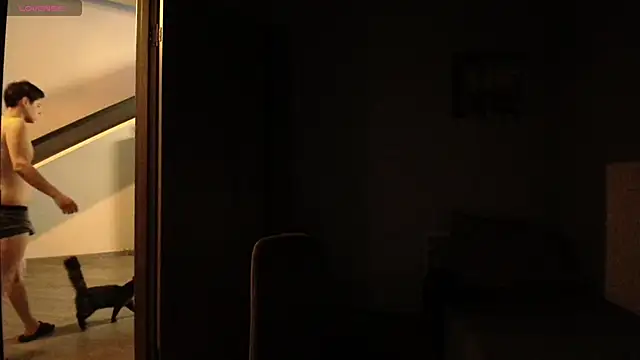 Show modela AliceTurnOn na web-kameri