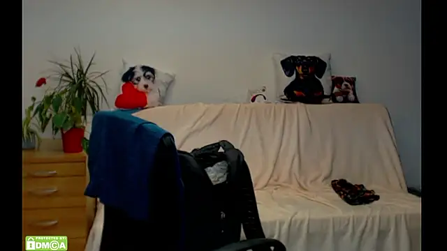 ZeinMiracles 现场XXX聊天