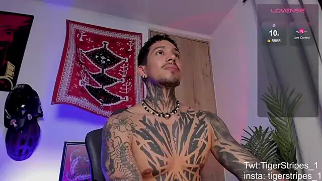 TigerStripes1_ 即時 XXX 聊天