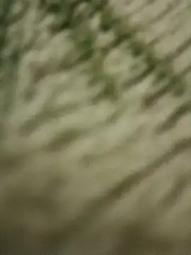 Show de CoralN na webcam