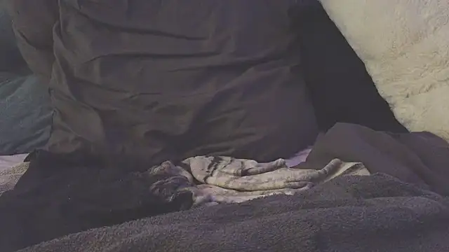 Fantasyiia Adlı Modelin Canlı XXX Sohbeti