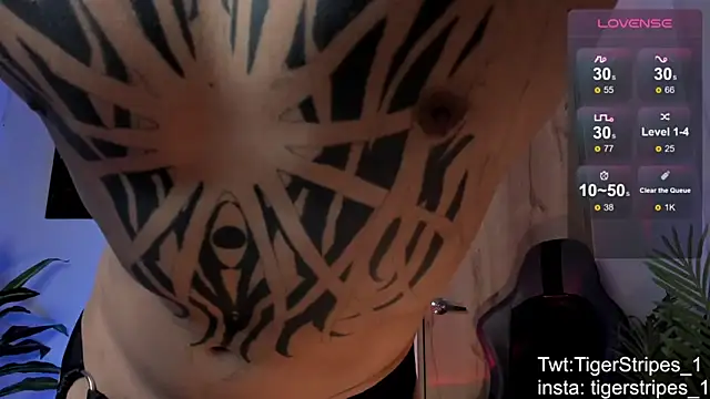 TigerStripes1_ Live XXX-Chat