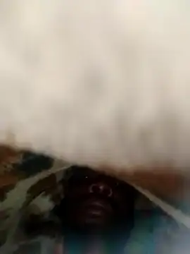 Rasdick's Webcam Show