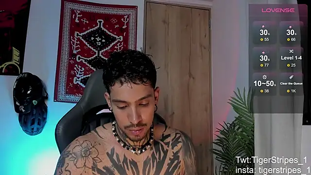 Pertunjukan Kamera Web TigerStripes1_